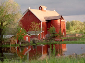 Farm Red Barn
